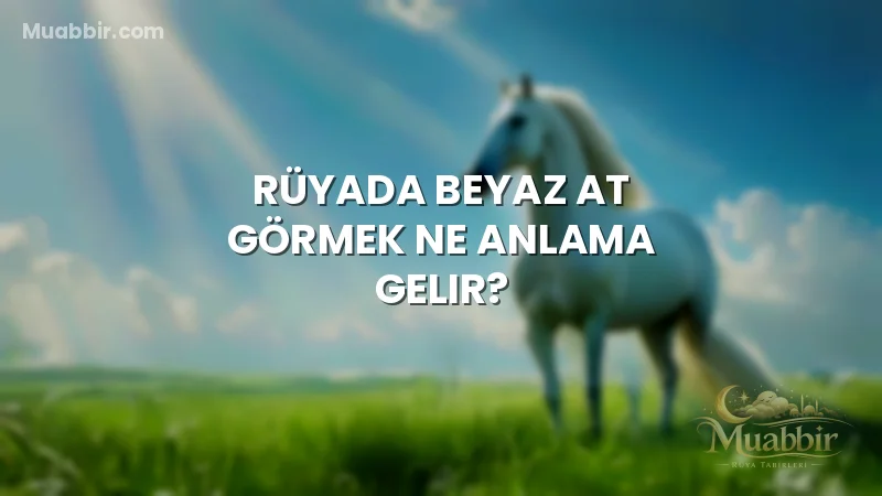 Rüyada Beyaz At Görmek Ne Anlama Gelir?
