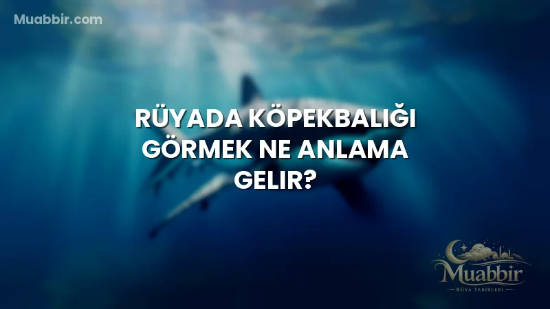 Rüyada Köpekbalığı Görmek Ne Anlama Gelir?