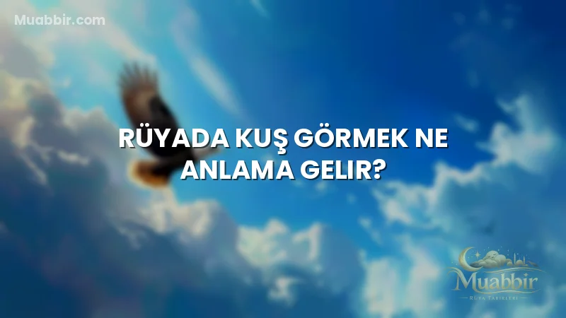 Rüyada Kuş Görmek Ne Anlama Gelir?
